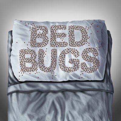 Bed Bugs Words Designed Pillow
