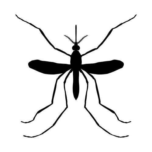 Black clipart image of a mosquito