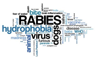Rabies Diseases and Its Effects 