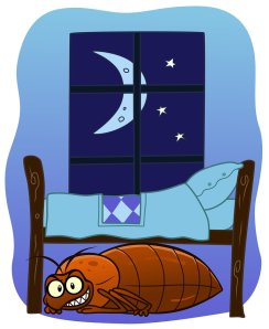 Animated image of a bed bug