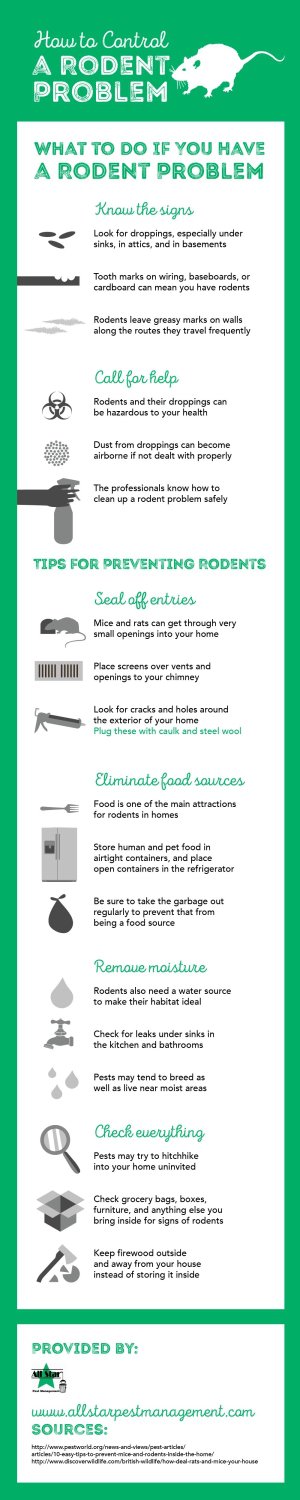 Infographic on how to control rodent problems